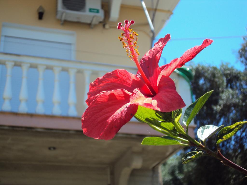 Stamatia Rooms Parga Exterior photo